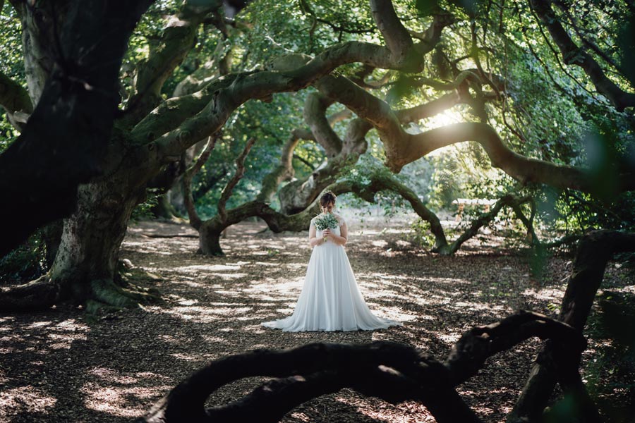Die Braut im Wald